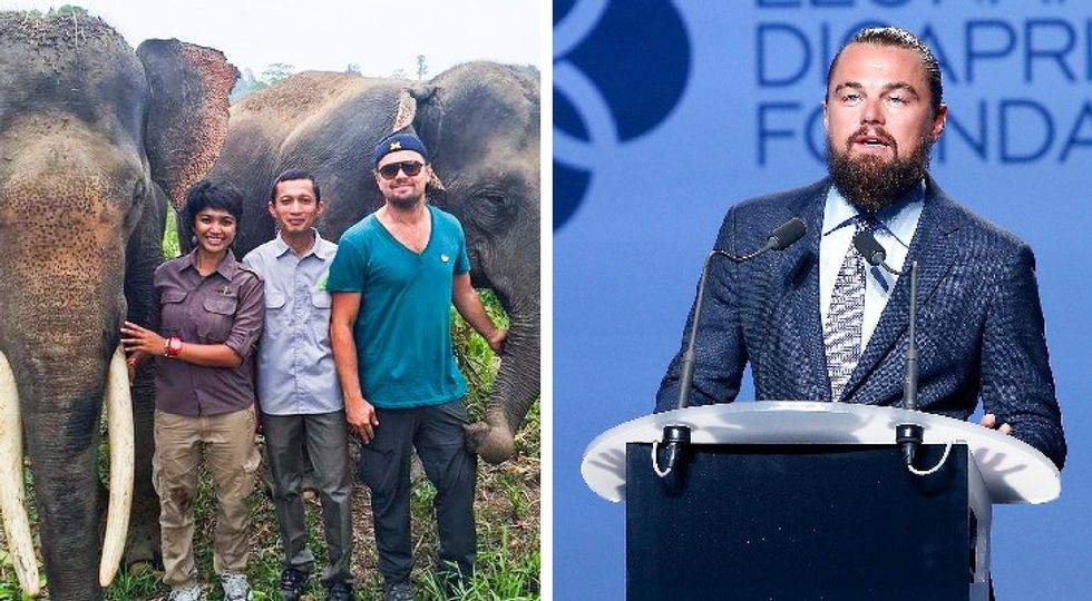 15254822 84925560 7224cf2fa7682eccf9764c593723ee55d4560016 728 1 1584609901 728 fe5fdb4b38 1585141986