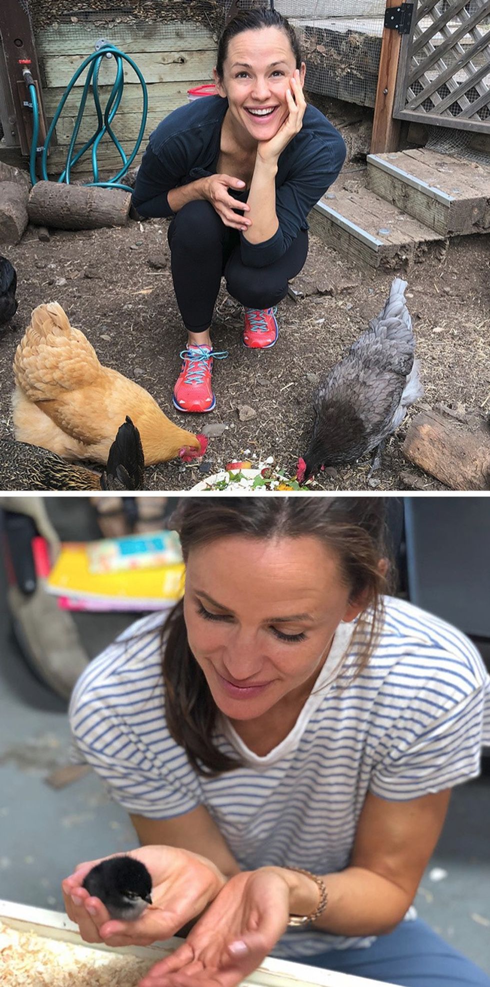 15262552 1783160 cdcfc96cde04c93a9b6f2c7bfdb483925693970d 1500 1 1585821298 728 4bf86677fa 1585822659