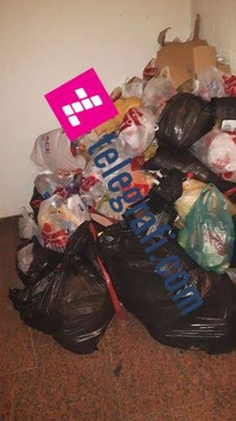 15310657_10154225499593178_489816626_n