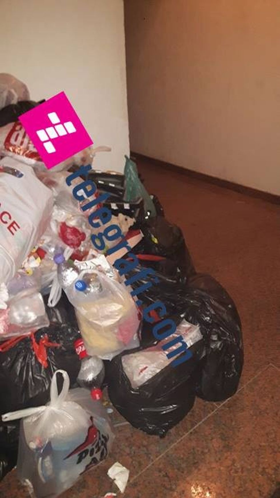 15327525_10154225499608178_1913841444_n