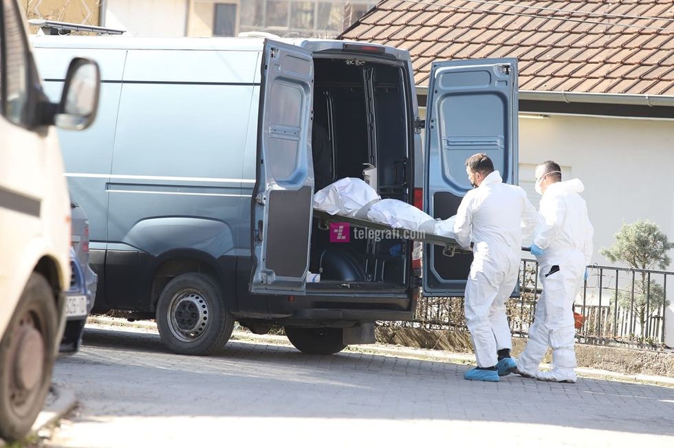 154098170 611513866369740 876643453902877928 n