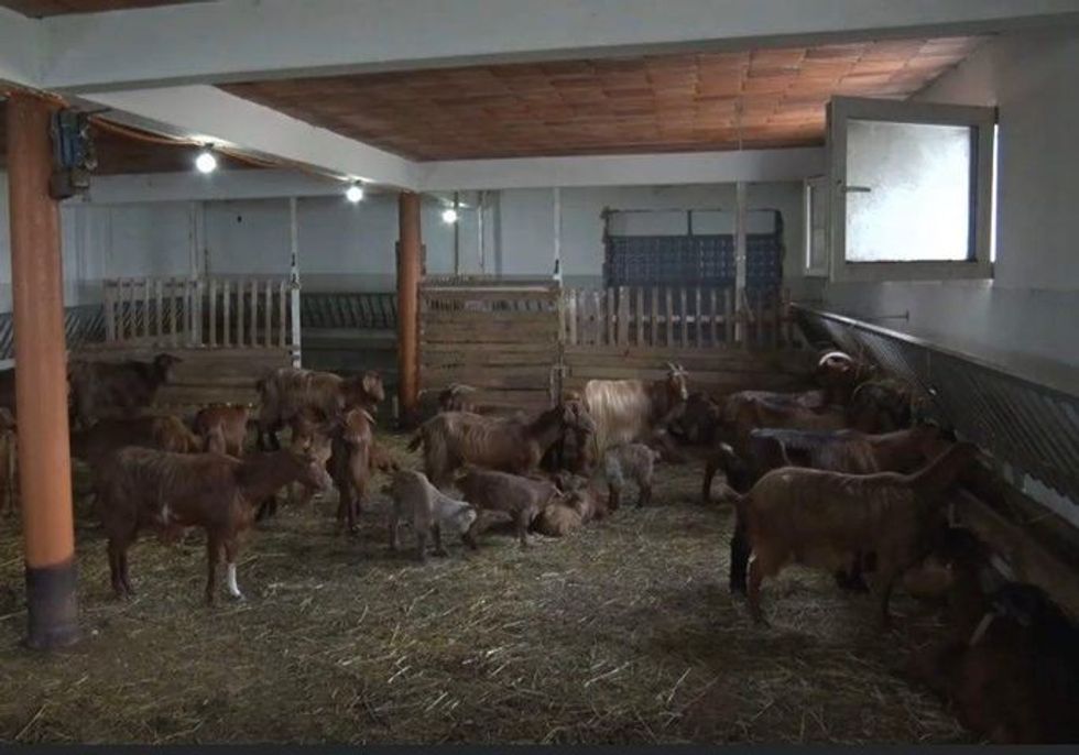 154162921 257759965936073 6242925533083265011 n 1