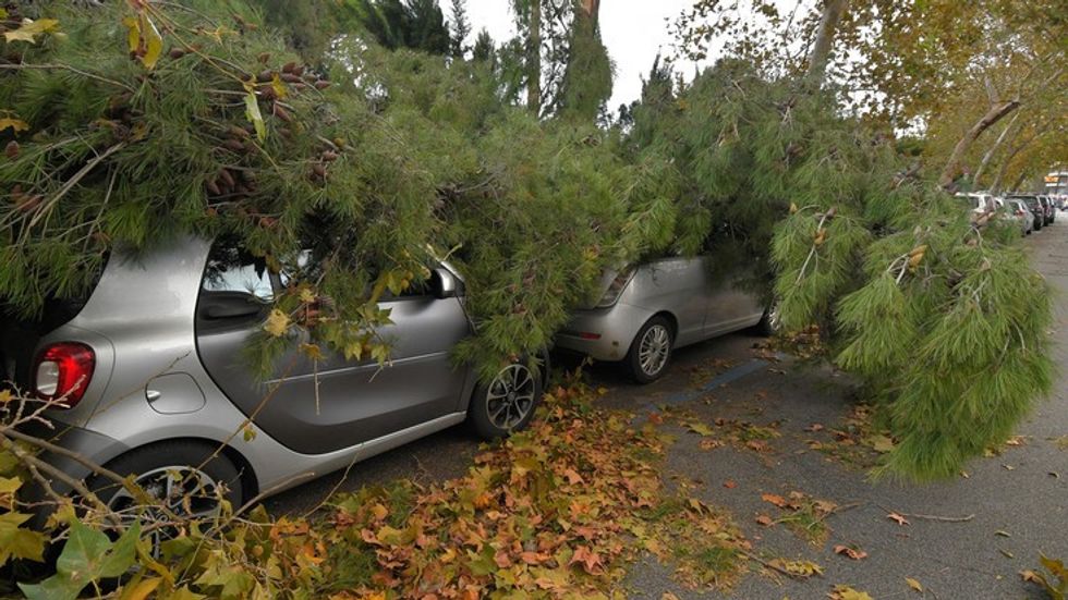 154452046 88e1d79d 8b7f 4477 85cd 45e0e7abe66b