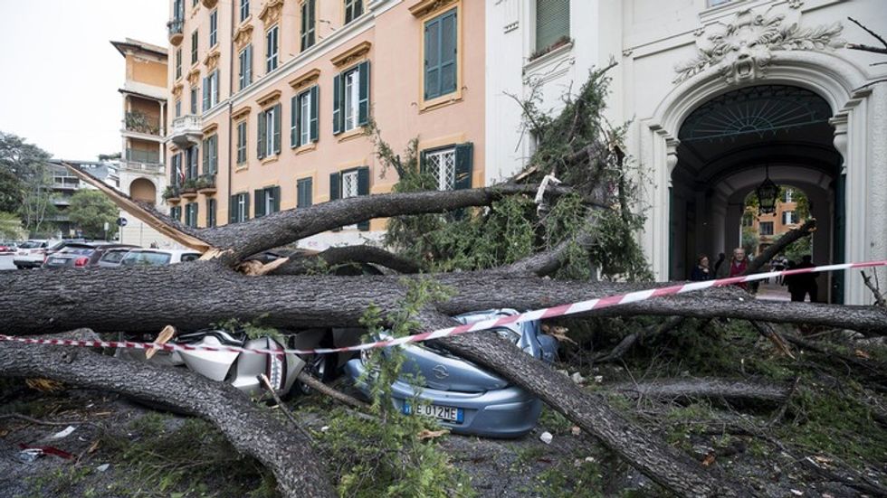 154549929 e29461c4 6816 40d7 a86a c2f517450010