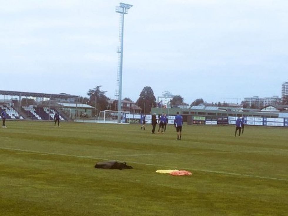 15780648 1526295790728796 3238749503222978066 n