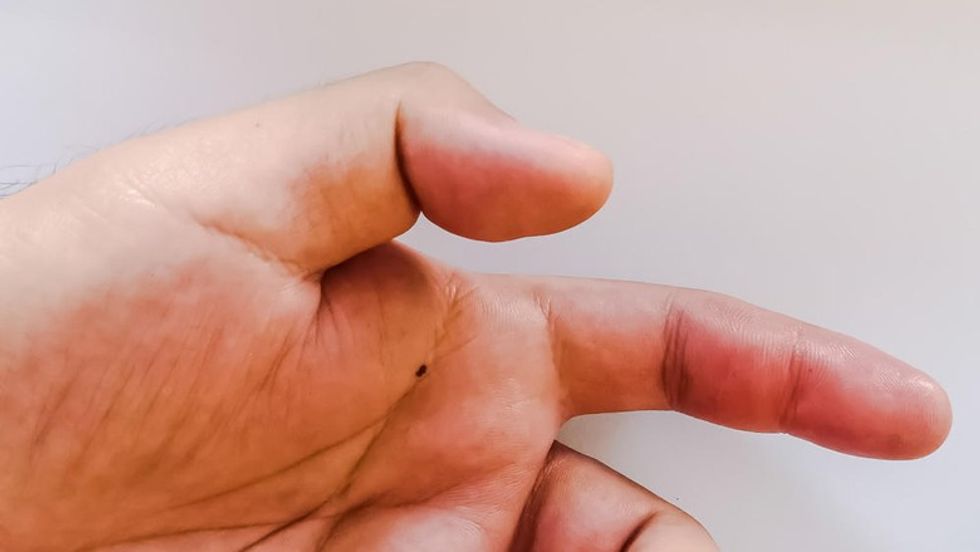 159227 shutterstock 767823805 ff