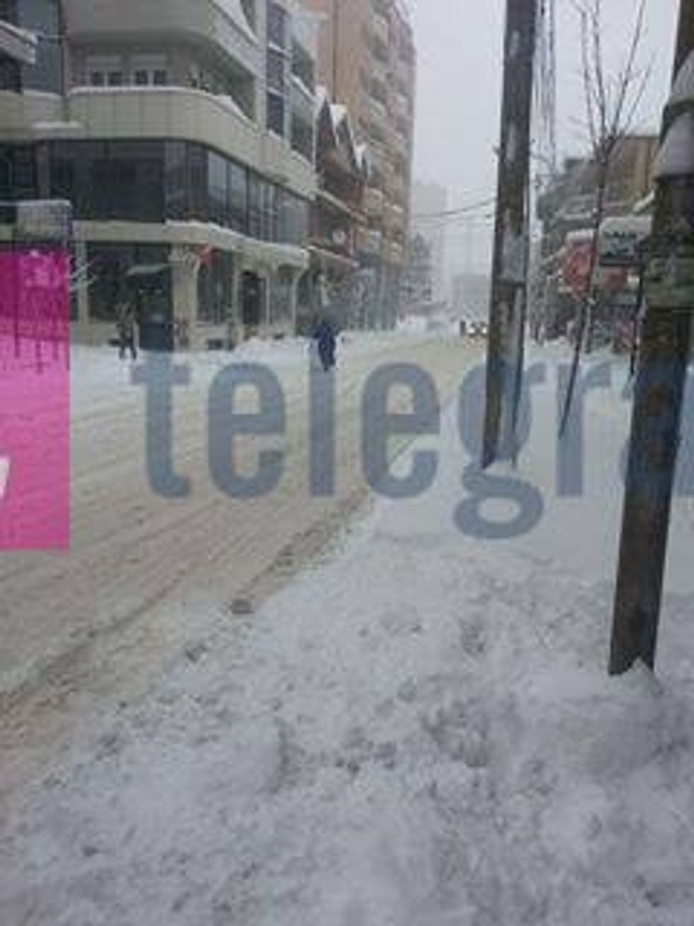 15935674 10209519052987053 611132476 n