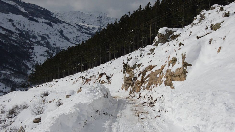 15967669 10210225617052338 1074196131 o