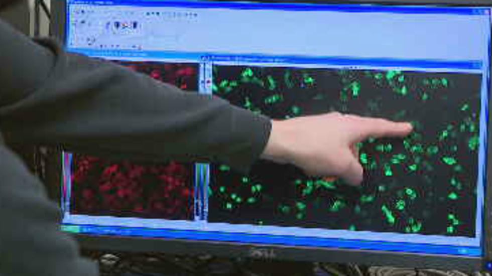 15ab0290 5fe9 4b8b b332 5f453000db93 large 031120webphotoCapture