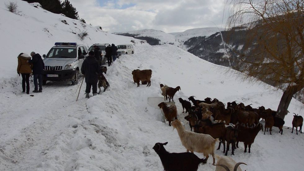 16010255 10210225617132340 444726343 o