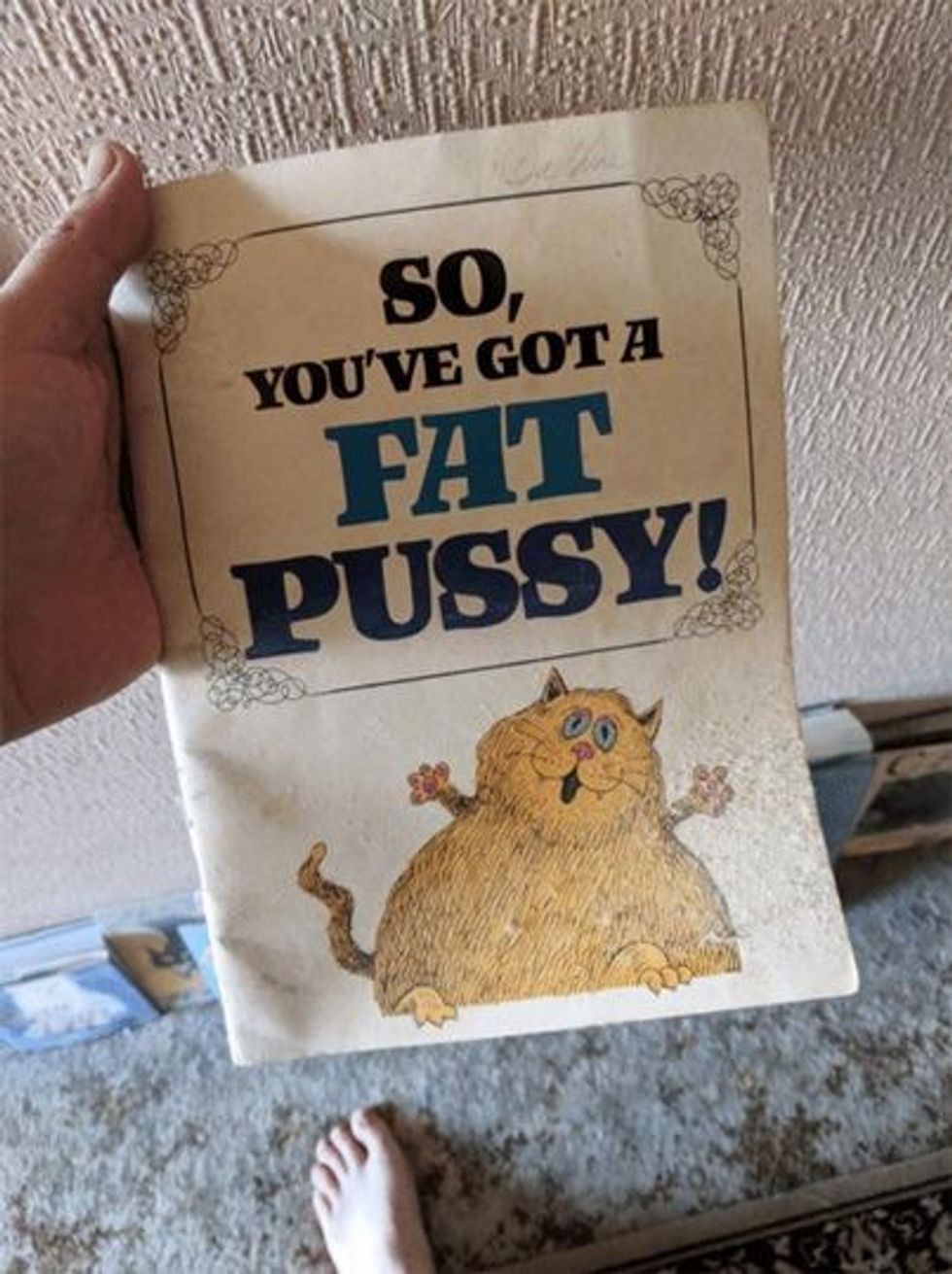 160486522 287065296157336 6180504187058025813 n