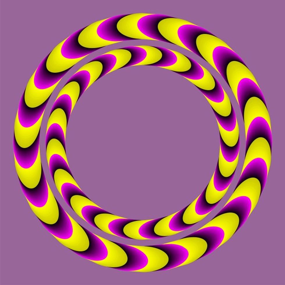 1629104895918 rotred snakes akiyoshi kitaoka