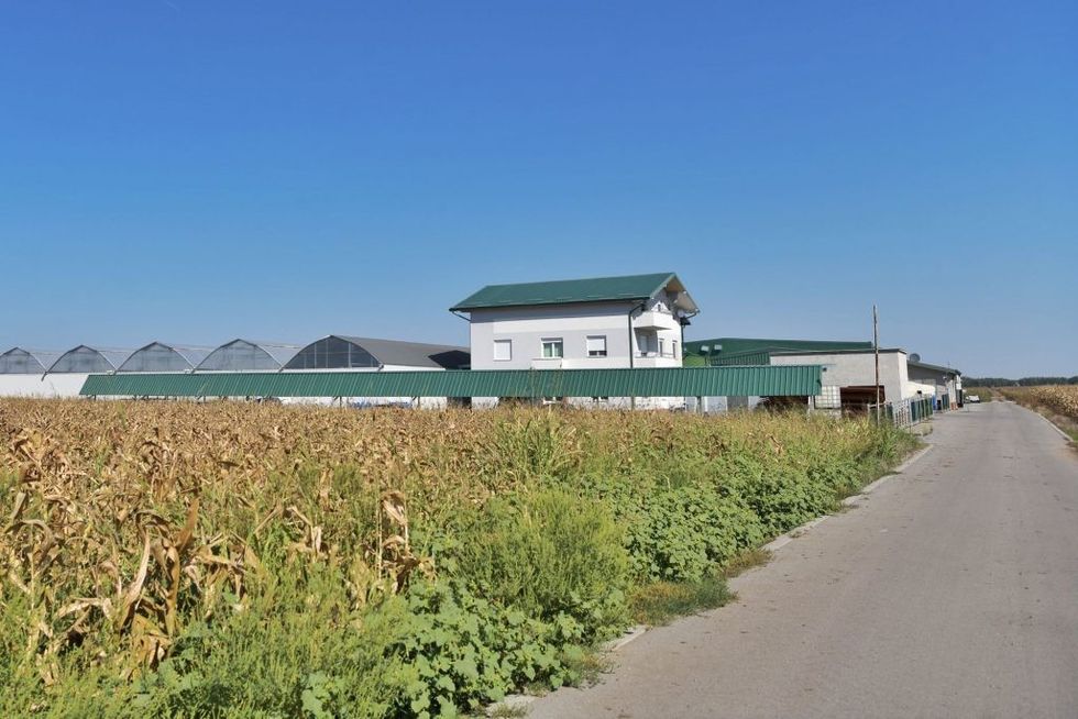 1631004939 1631004751087 1