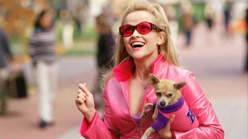 163176 635890746067610566 802553916 legally blonde reese withers