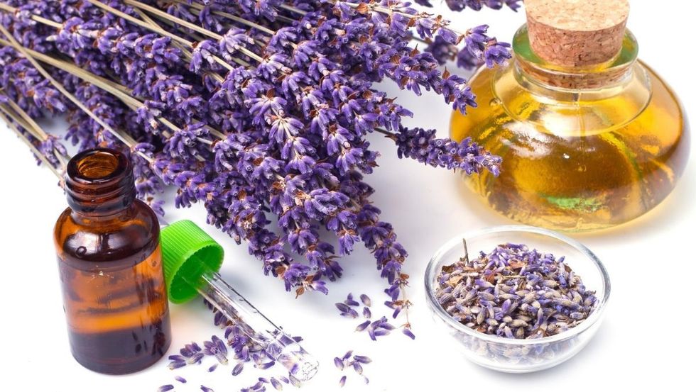 1637933268 shutterstock