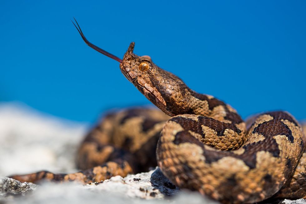 1647605139 36788724960 0cbd6e9bb4 h 1