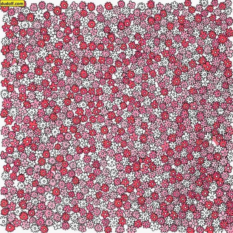 1651959744 ov7oc3ea7vd3vg45nx5xlryi64