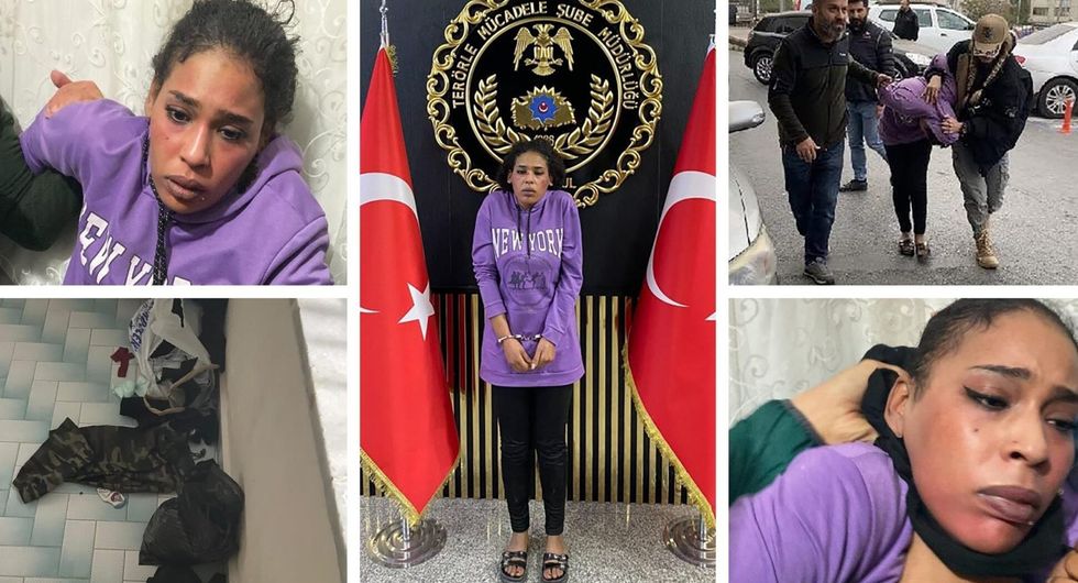 1668416331 collage 1 e1668548921289