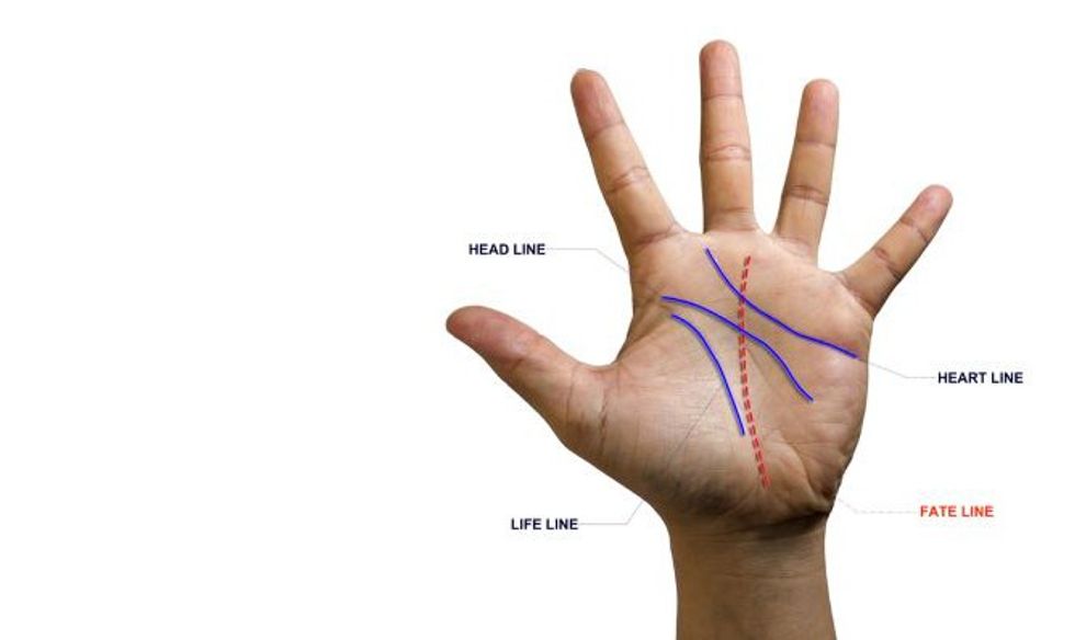 1669384063 shutterstock