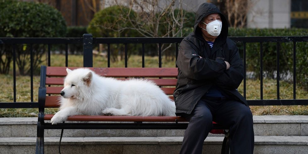 16798630535e70dc9944dd9653852810 v4 big