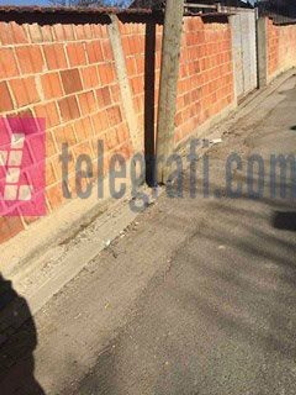 16934086 10209920388140181 1745171909 n