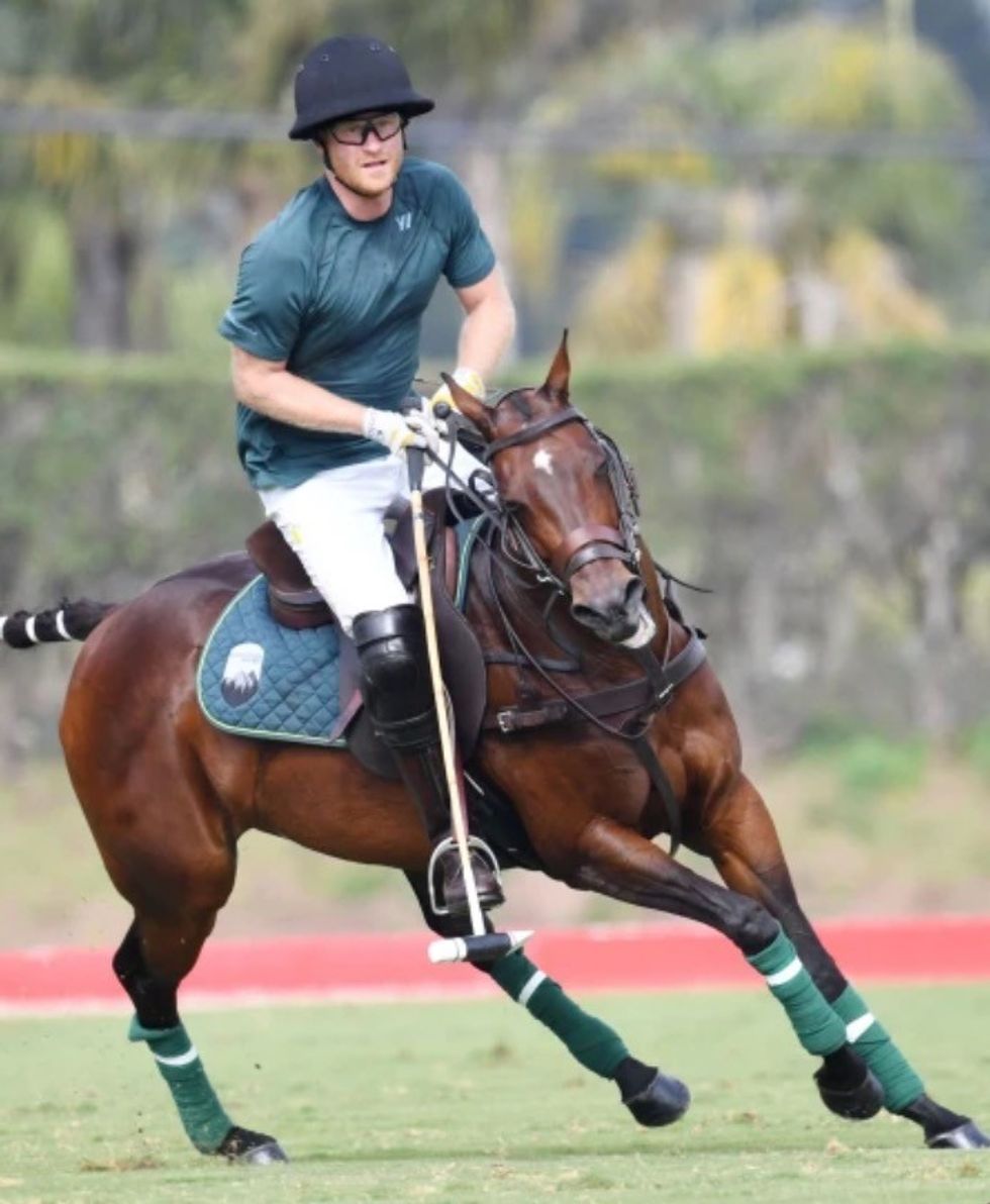 16D68E3E 8188 403C 8411 613B4CE93DF5