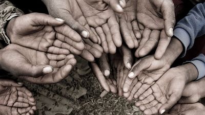 2020/12/World_hunger_Solution_Borgen.jpg