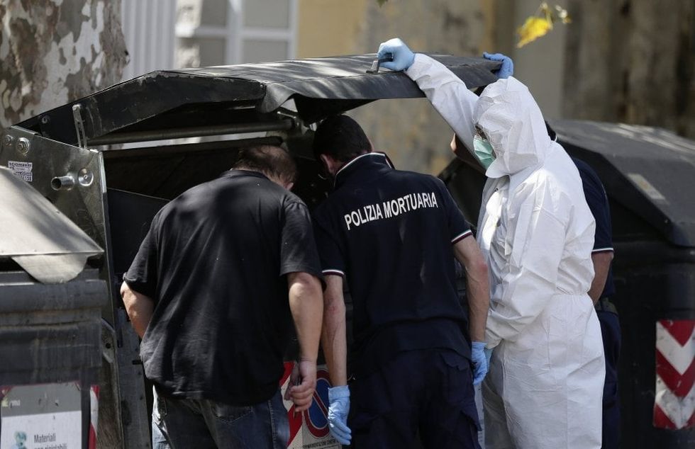 170044063 17976e36 9ae6 478c b78e 47a24851331a