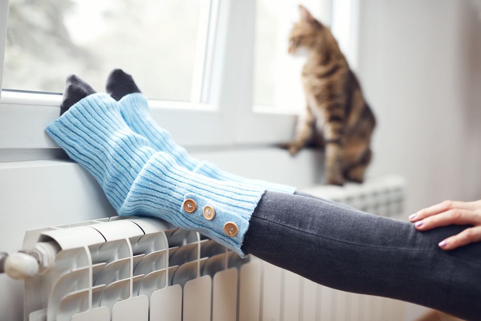 1701598532 shutterstock 2069170643