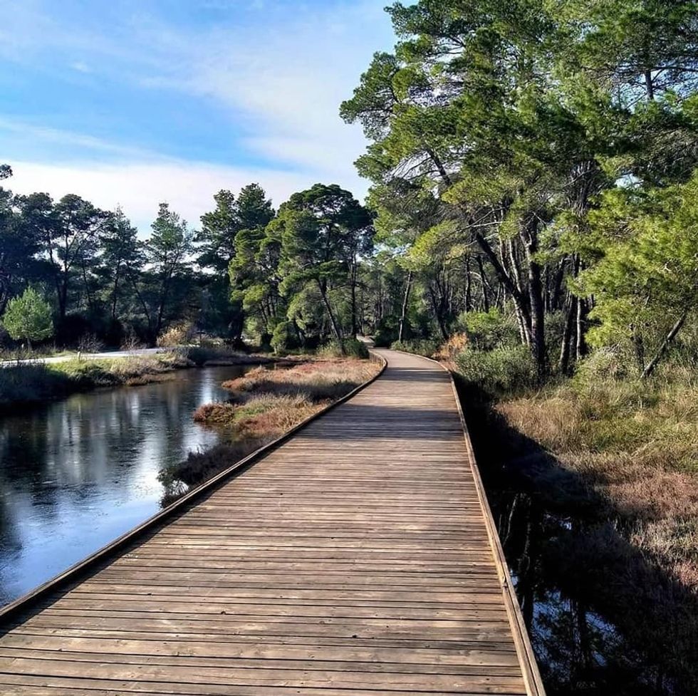 171495110 3915799711820040 4332339809724716402 n