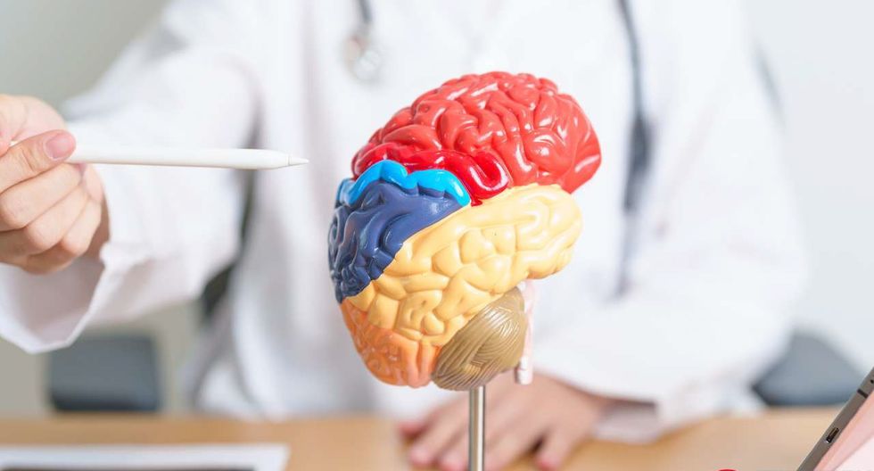 1717833331 world brain tumour 786