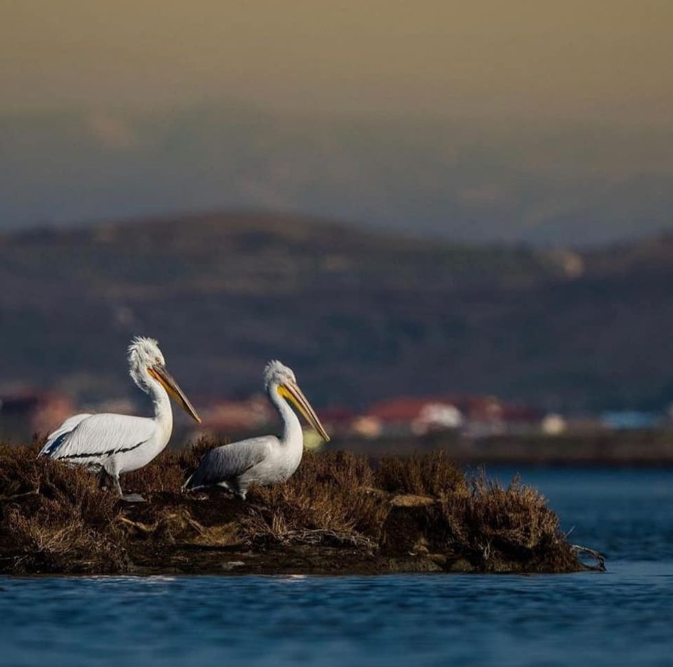 171822256 3915799748486703 1814674041485027712 n