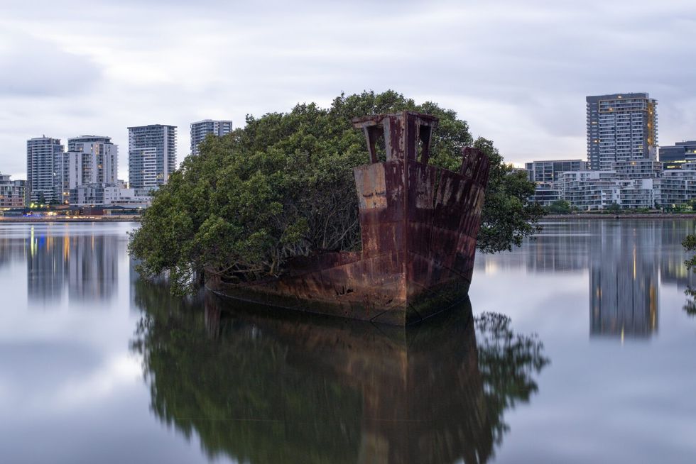 1729258493 shutterstock 1628237302