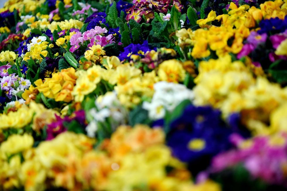 17311813 10213110322730648 1967519611 o