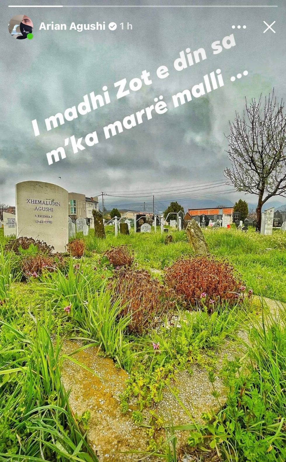 173884953 3941672025891684 1370709160065704438 n