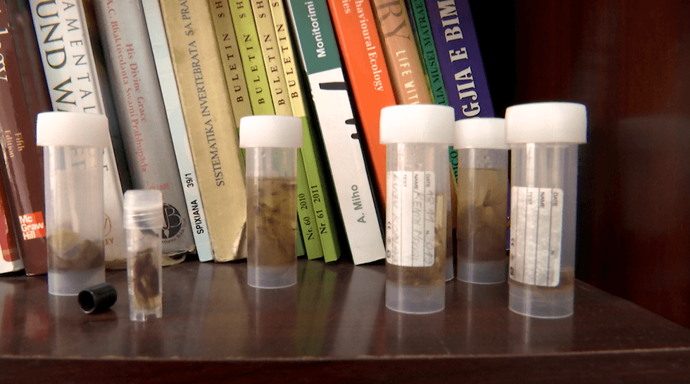 176328406 184376290170921 569509488339608556 n