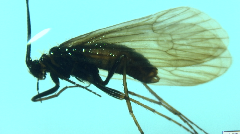 176342802 792900928293399 2884837568503550870 n