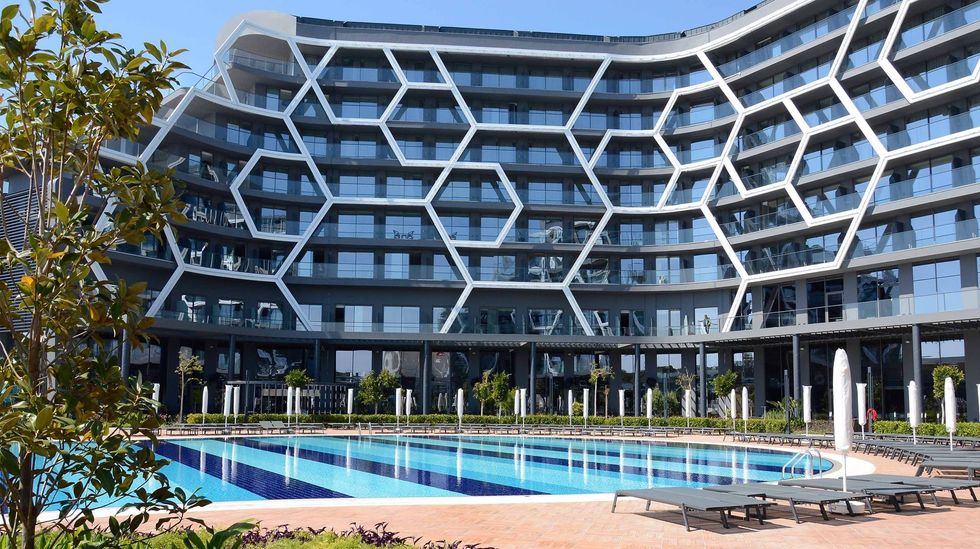 18318547 1560226920678344 278281285 o