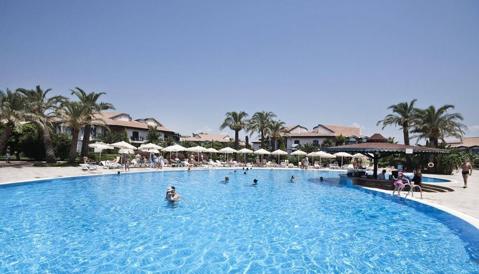 18318692 1562366297131073 1693579551 o