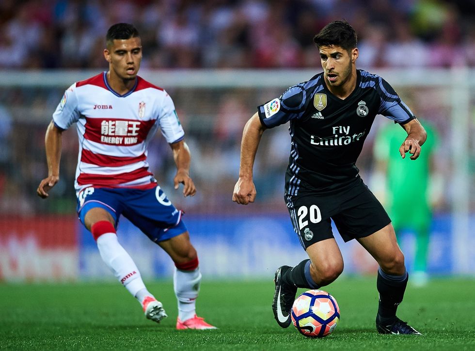 18362193 1551469198199366 1938081197 o