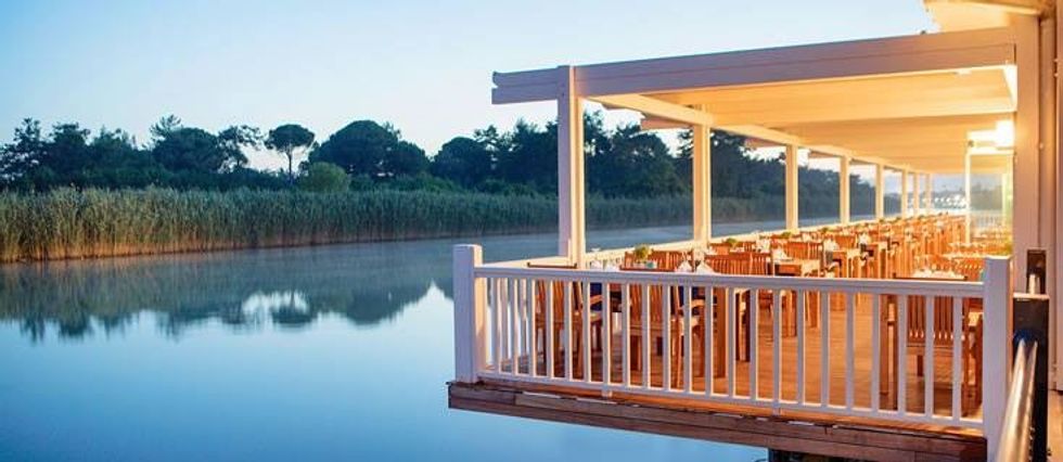 18518557 1572950099406026 1403067441 n