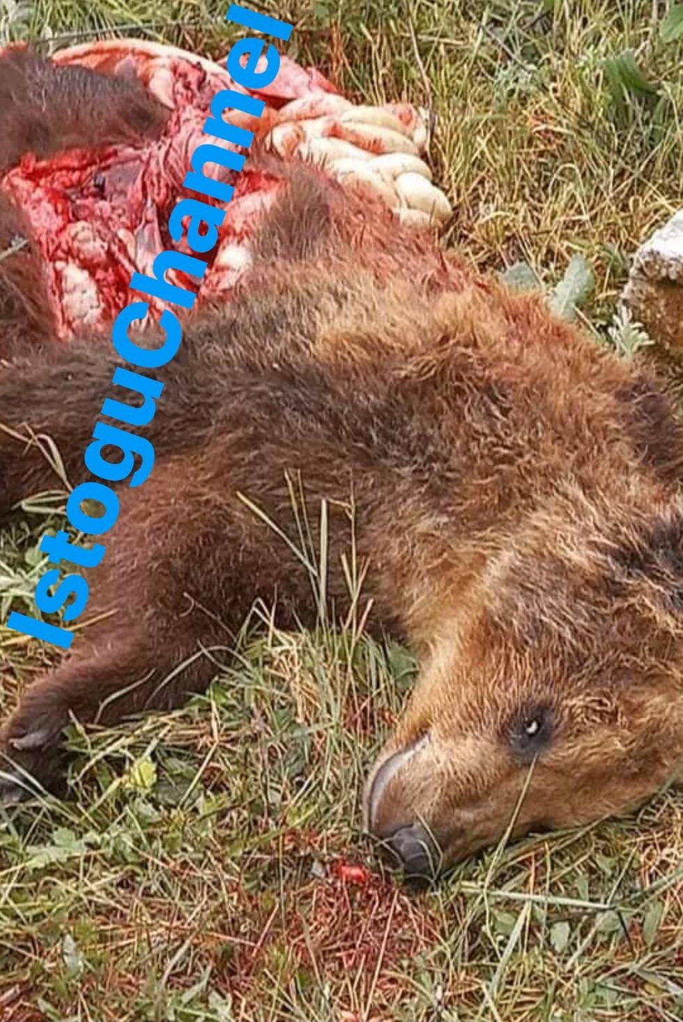 186503189 4369448866421415 6245034568875899543 n