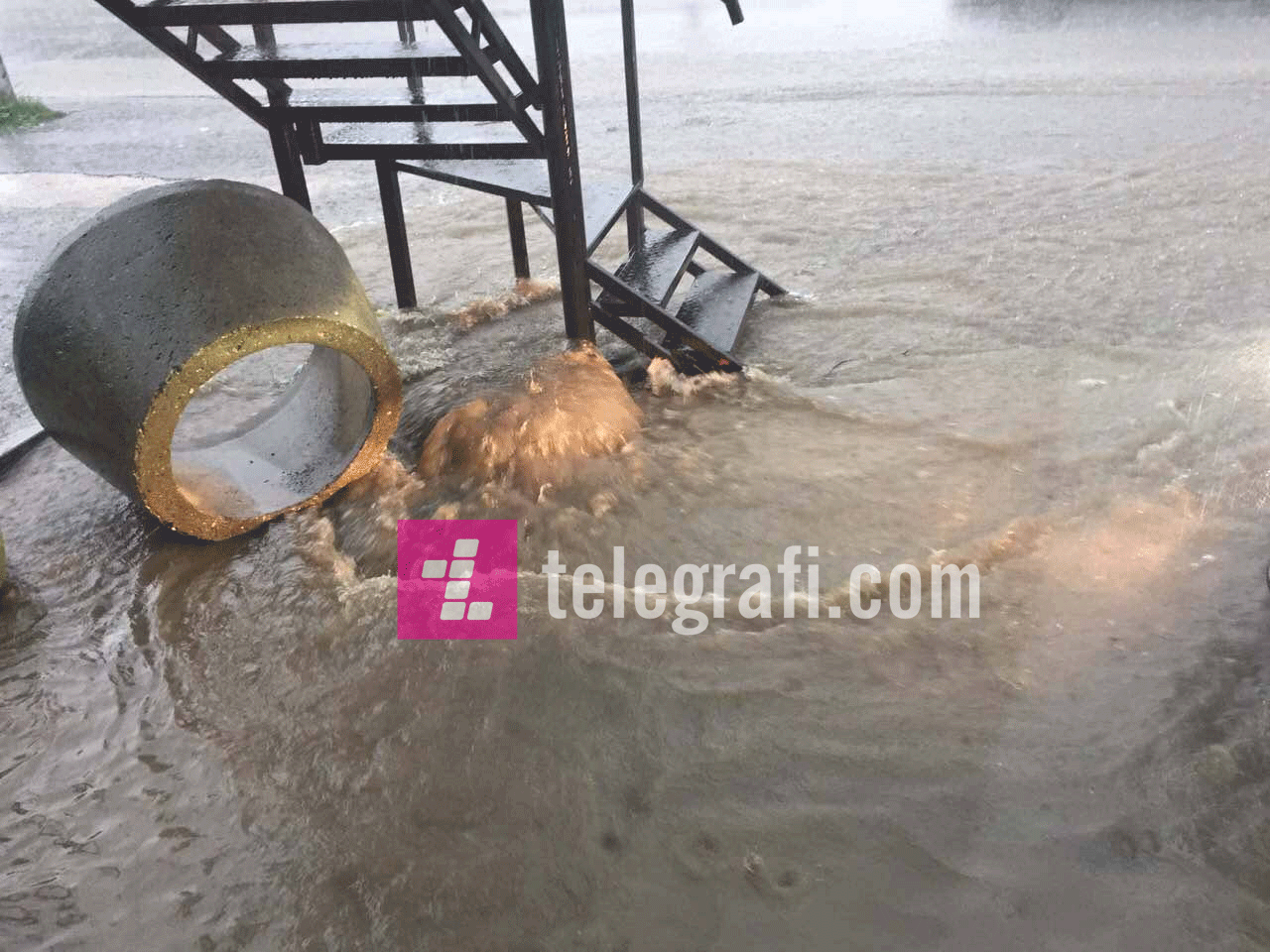 18987716 1546582828706458 236356368 o