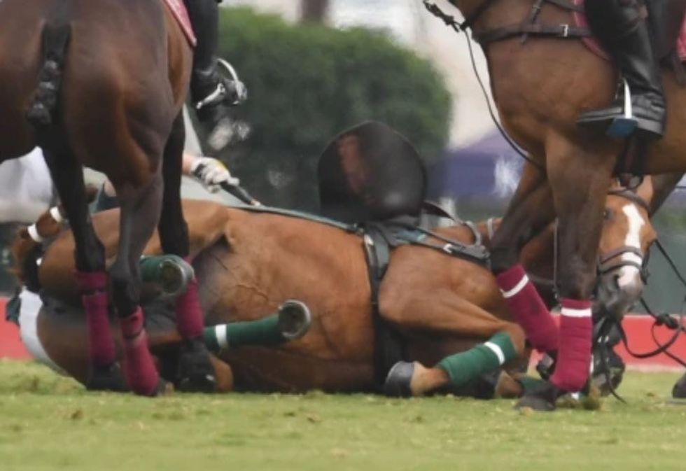 18BE4CEE 106B 42A2 8E39 2554AFE36C6E