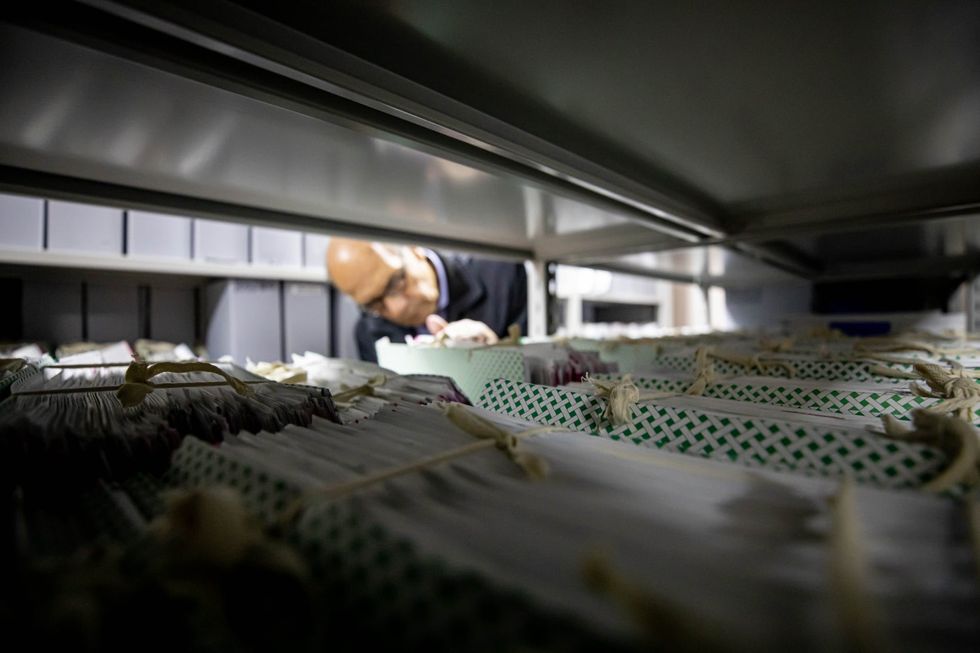 190221628 1022294004973917 7121119710935550511 n