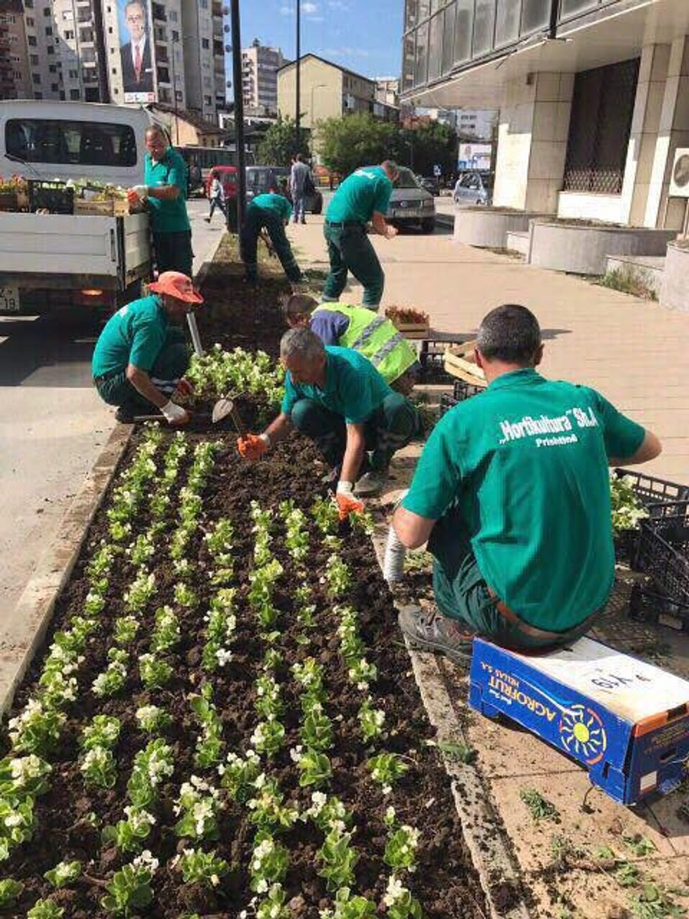 19030667 1966462633573236 6716702488301956141 n