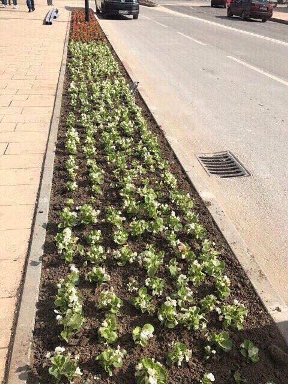 19059485 1966462636906569 6738667044193215916 n