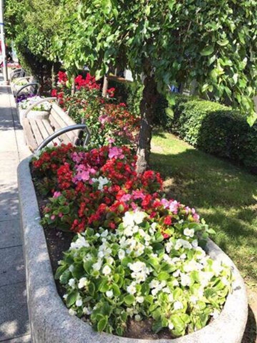 19105711 1966462630239903 7148533851593373745 n