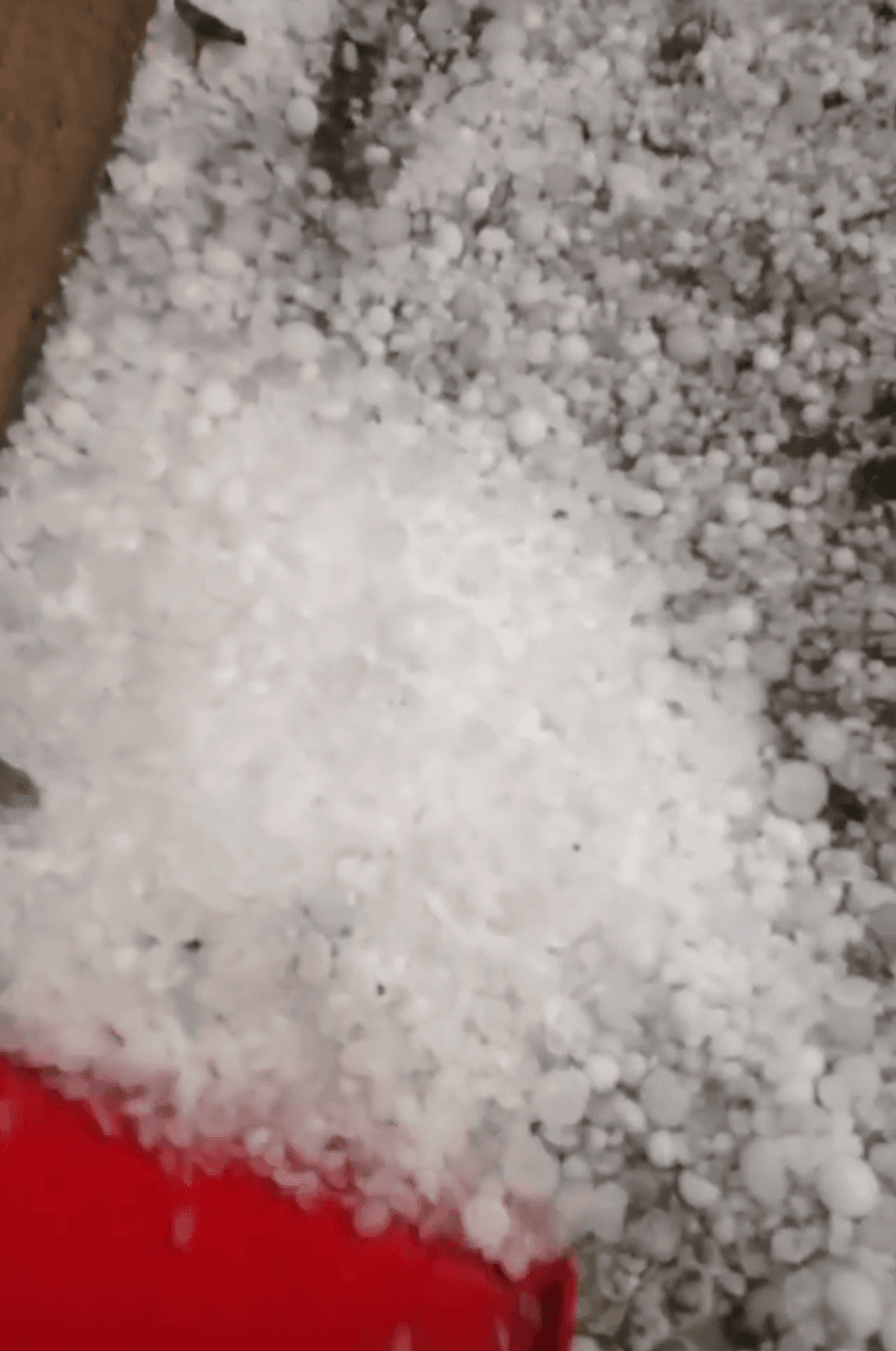 19206139 1558439030854171 1121423219 n