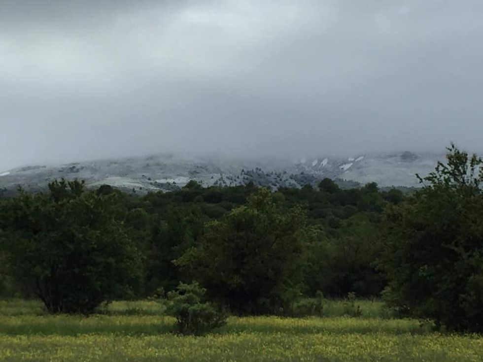 193469951 1155421578297010 6364686848661347728 n